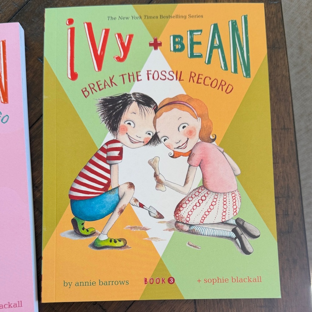 Chronicle Books Ivy + Bean Boxed Set - Series 1, 2, & 3 - Picture 4 of 10